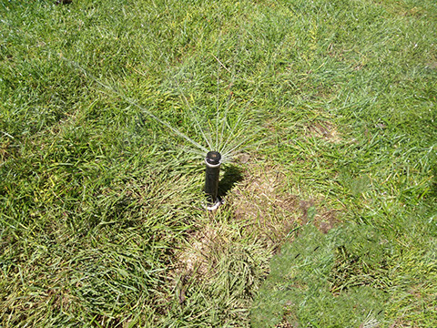 Senkkopf raus: Wasser marsch